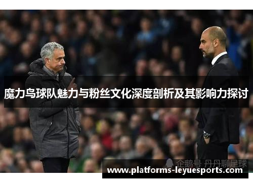 魔力鸟球队魅力与粉丝文化深度剖析及其影响力探讨