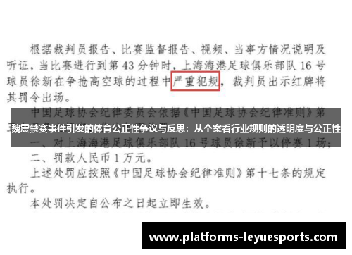 魏震禁赛事件引发的体育公正性争议与反思：从个案看行业规则的透明度与公正性