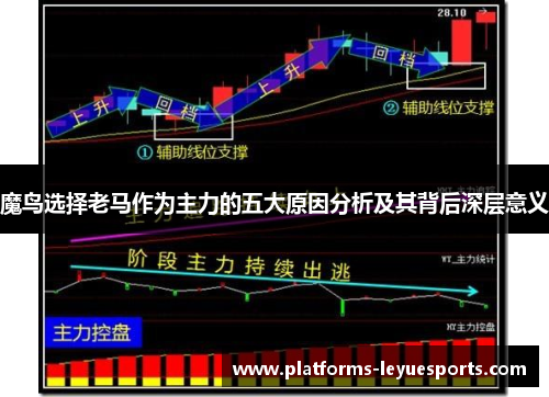 魔鸟选择老马作为主力的五大原因分析及其背后深层意义