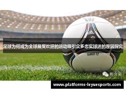 足球为何成为全球最受欢迎的运动吸引众多忠实球迷的原因探究