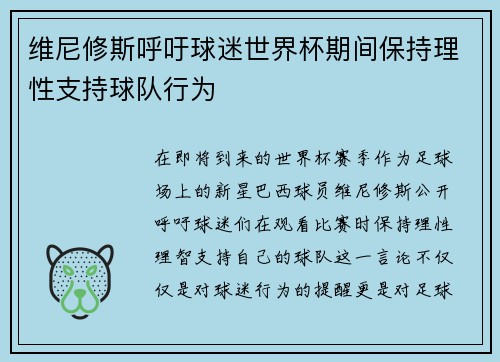 维尼修斯呼吁球迷世界杯期间保持理性支持球队行为